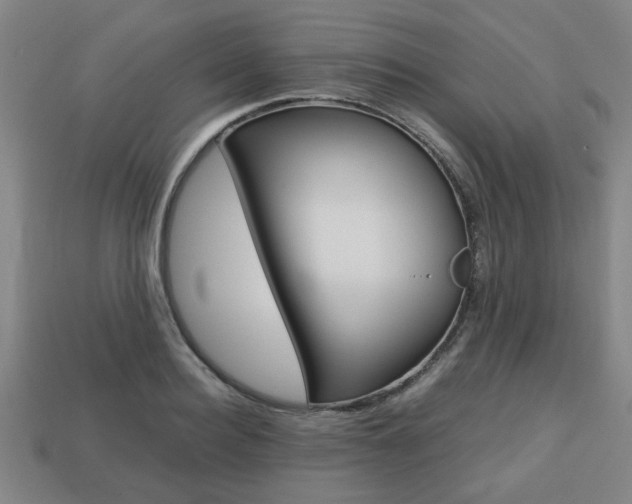 X0000113780940200909231038