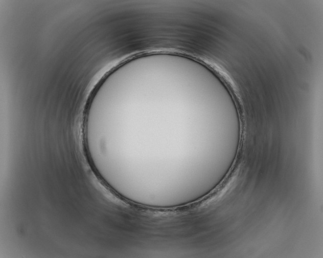 X0000113780941200909231038