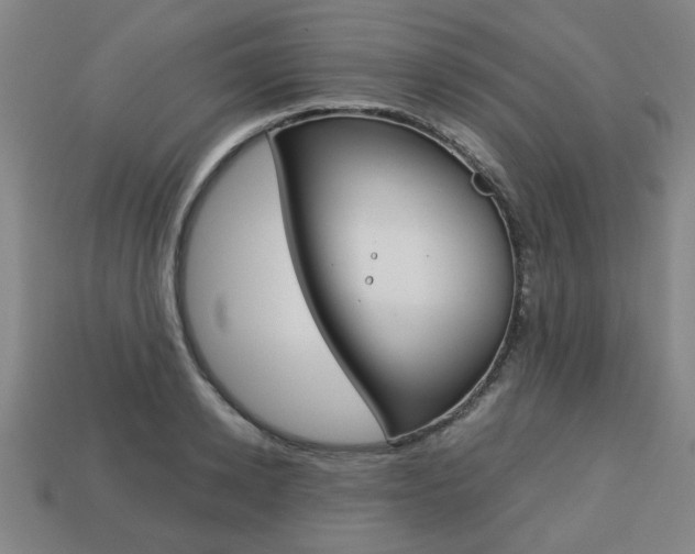 X0000113780942200909231038