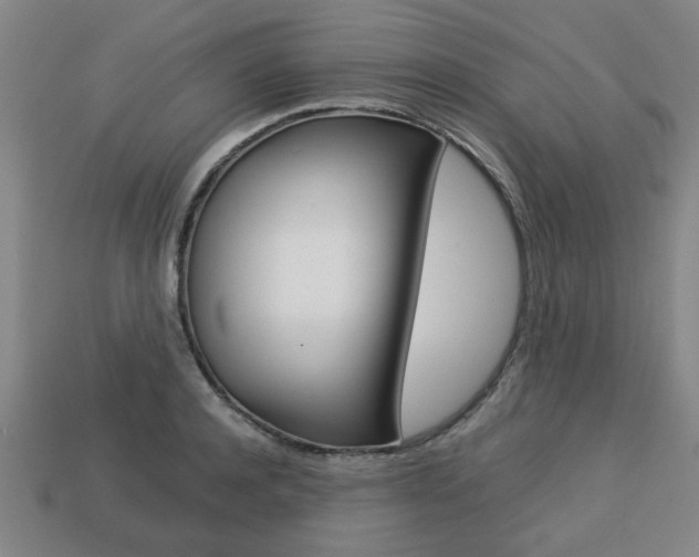 X0000113780944200909231038