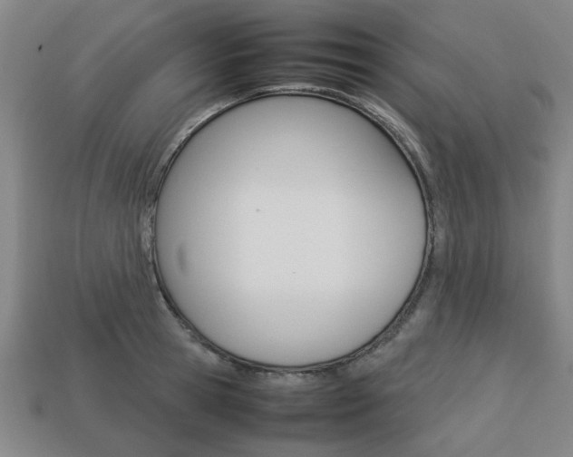 X0000113780945200909231038