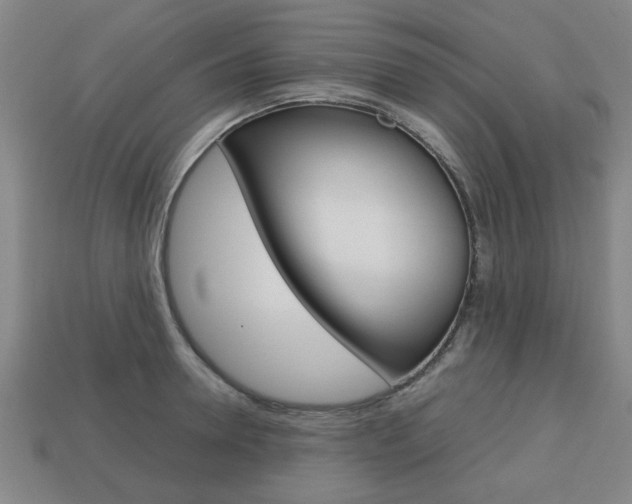 X0000113780946200909231038