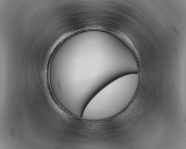 X0000113780947200909231038