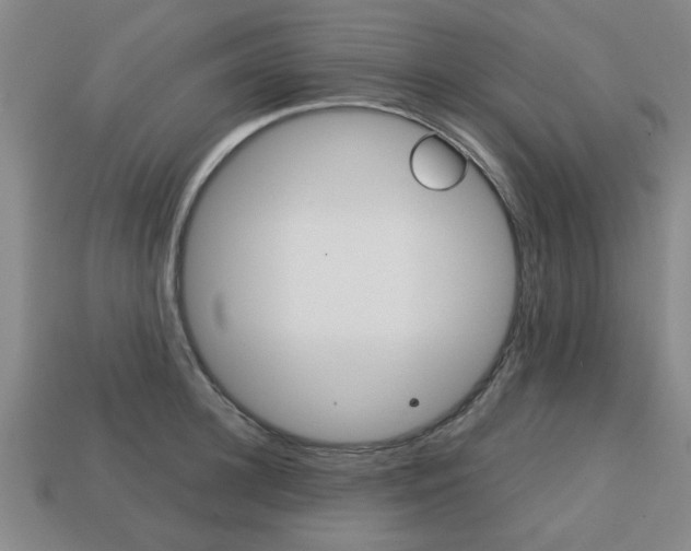 X0000113780948200909231038