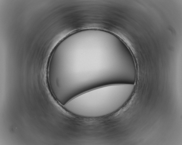 X0000113780949200909231038