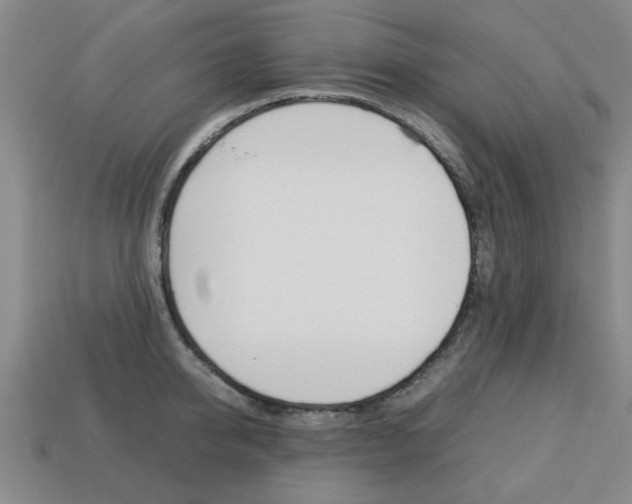 X0000113780950200909231038