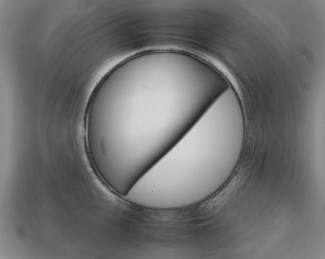 X0000113780951200909231038