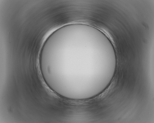 X0000113780952200909231038