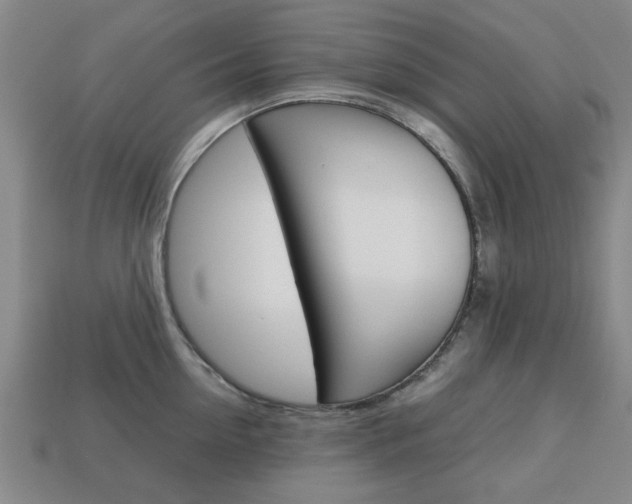 X0000113780954200909231038