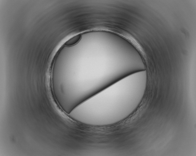 X0000113780955200909231038
