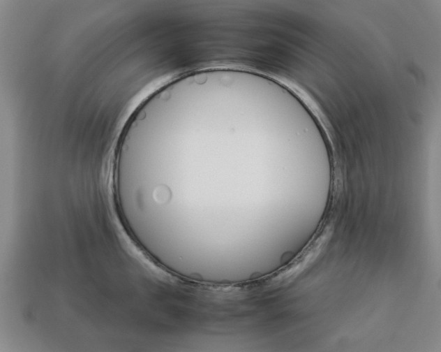 X0000113780957200909231038