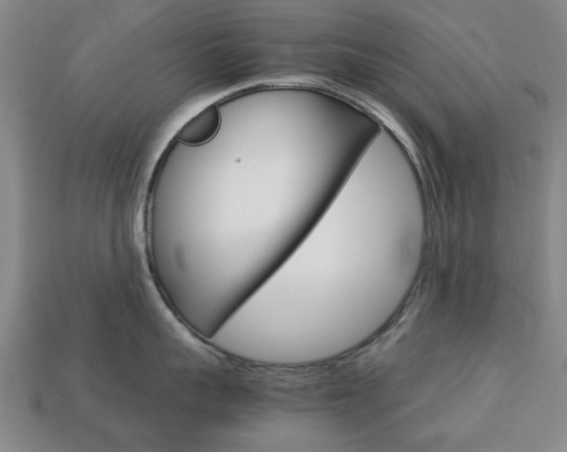 X0000113780959200909231038