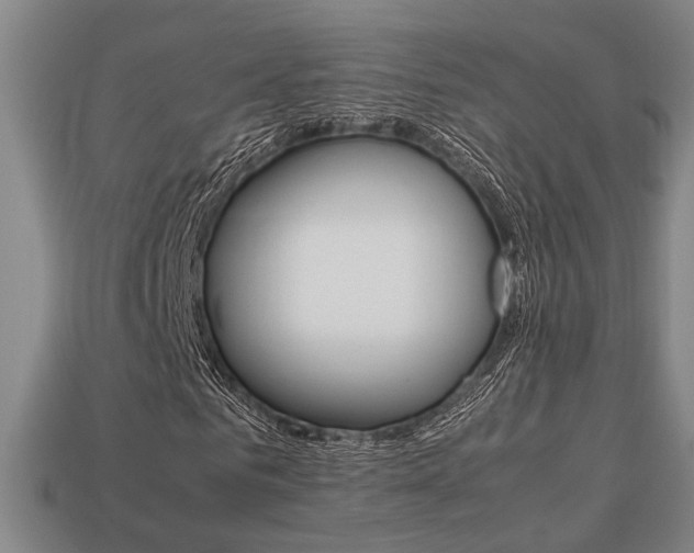 X0000113780961200909231038