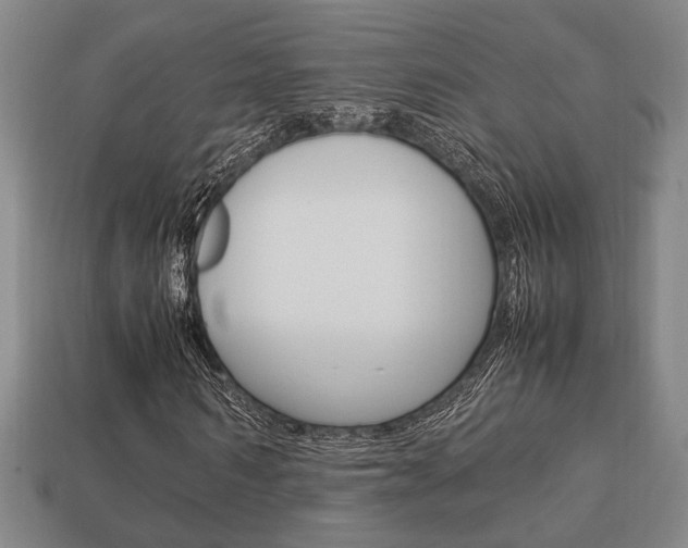 X0000113780962200909231038