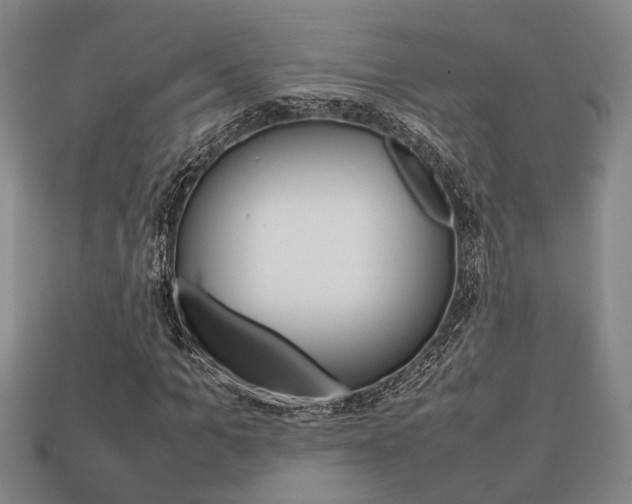 X0000113780965200909231038