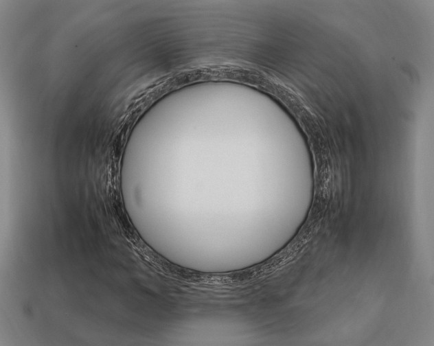X0000113780966200909231038