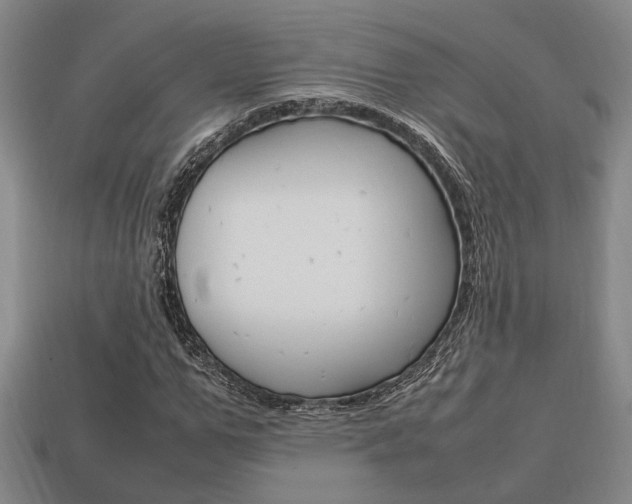 X0000113780967200909231038