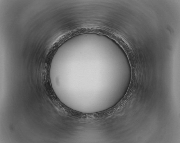 X0000113780968200909231038