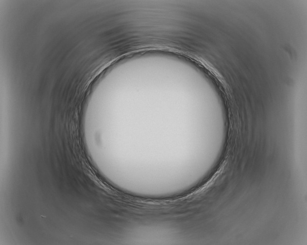 X0000113780969200909231038