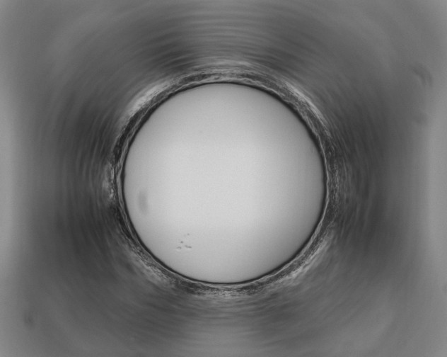 X0000113780970200909231038