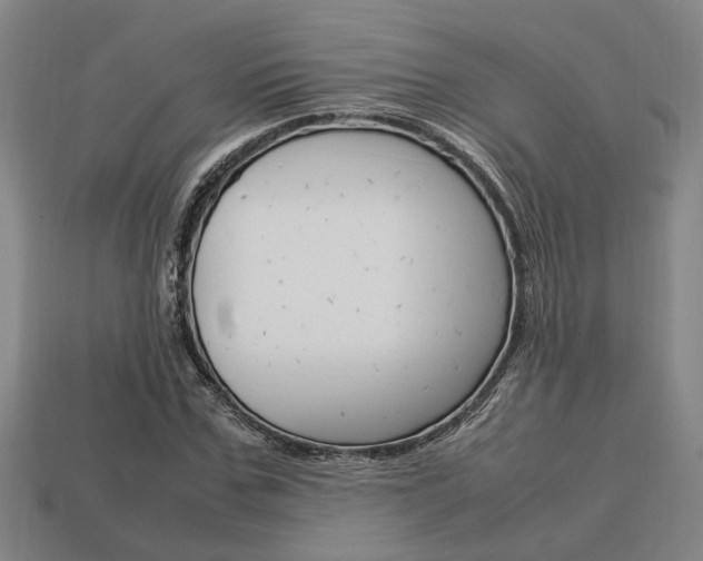 X0000113780971200909231038