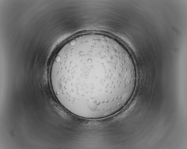 X0000113780974200909231037
