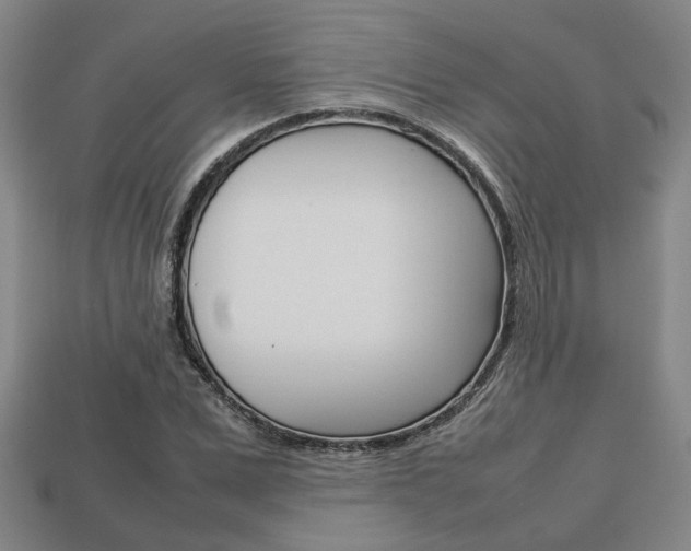 X0000113780975200909231037