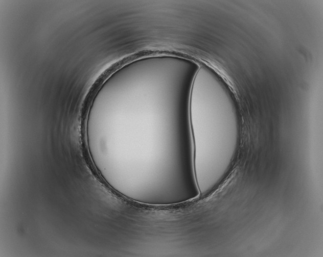 X0000113780976200909231037