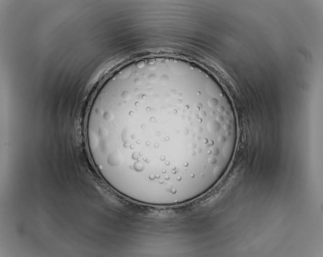 X0000113780978200909231037