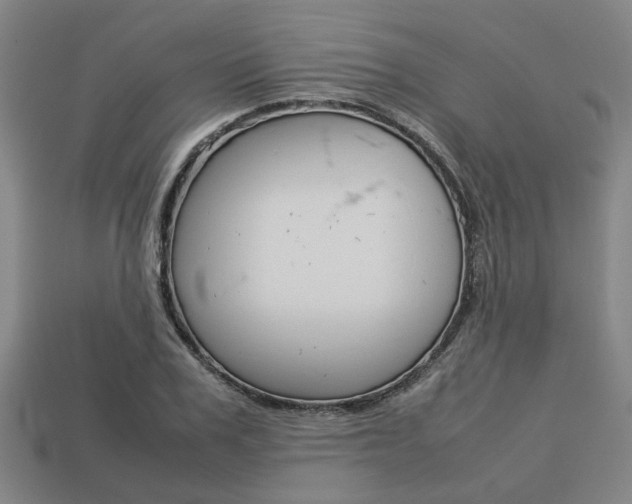 X0000113780979200909231037