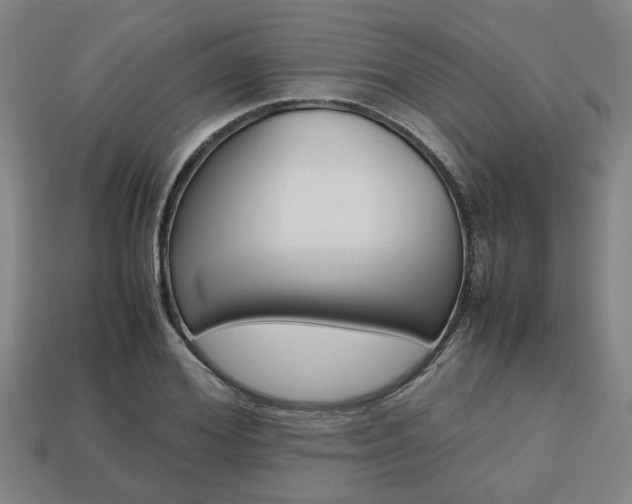 X0000113780980200909231037