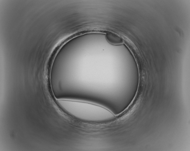 X0000113780981200909231037
