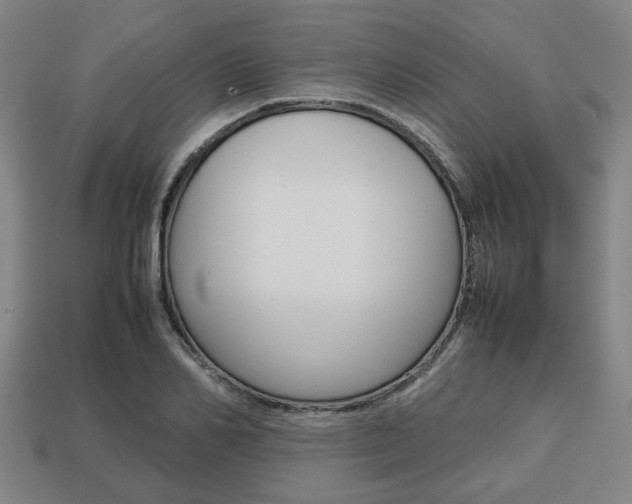 X0000113780982200909231037