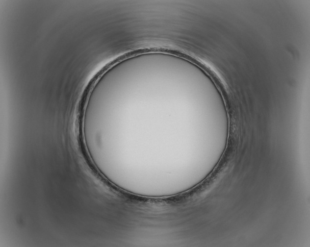 X0000113780983200909231037