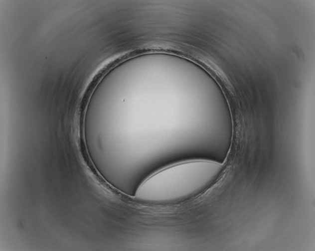 X0000113780984200909231037