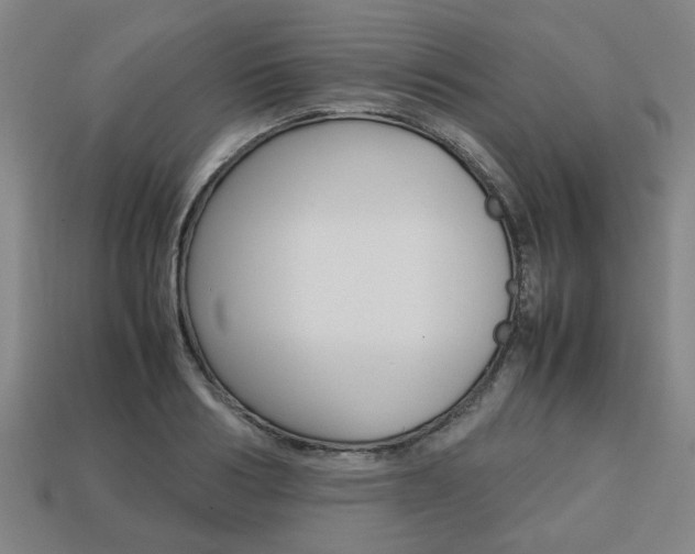 X0000113780986200909231037