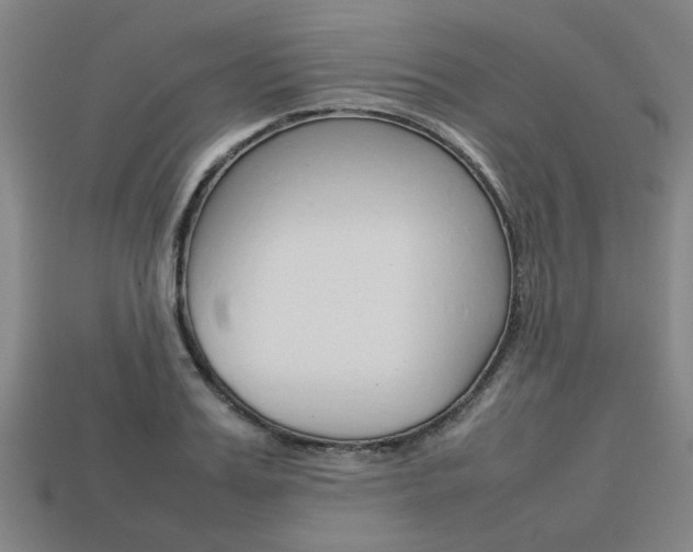 X0000113780987200909231037