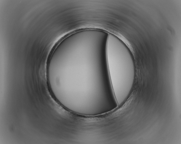 X0000113780988200909231037