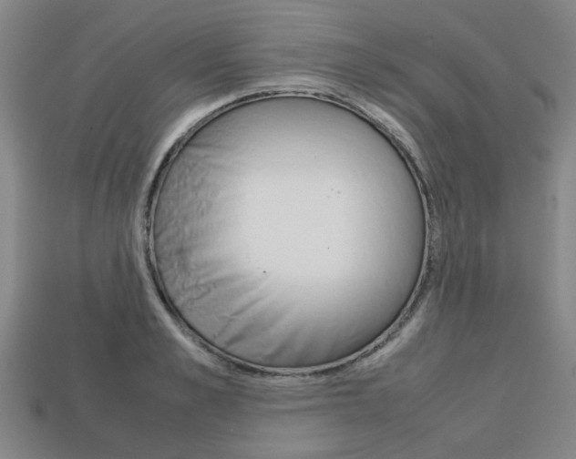 X0000113780989200909231037