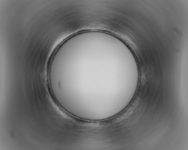 X0000113780990200909231037