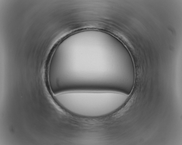 X0000113780991200909231037