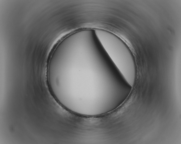 X0000113780992200909231037