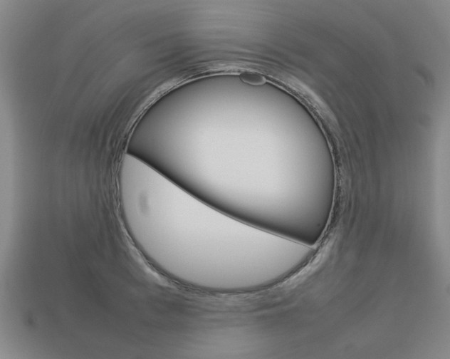 X0000113780993200909231037
