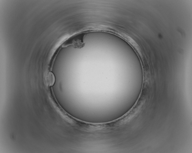 X0000113780997200909231037