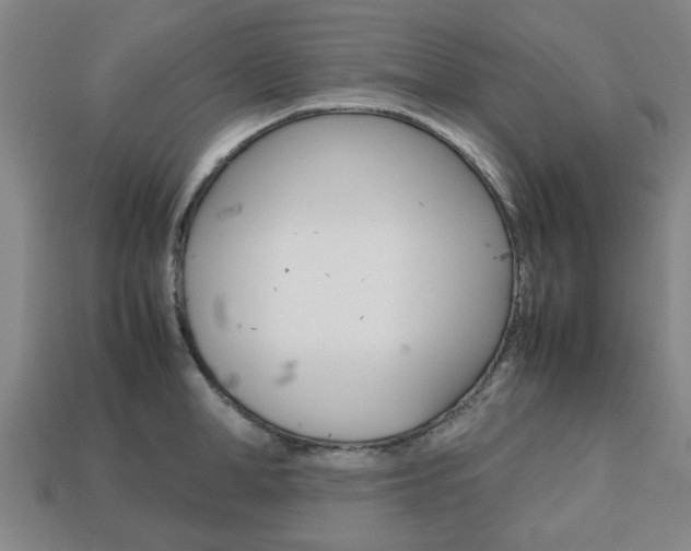 X0000113780998200909231037