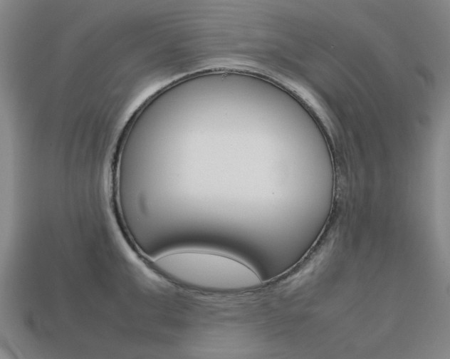 X0000113780999200909231037