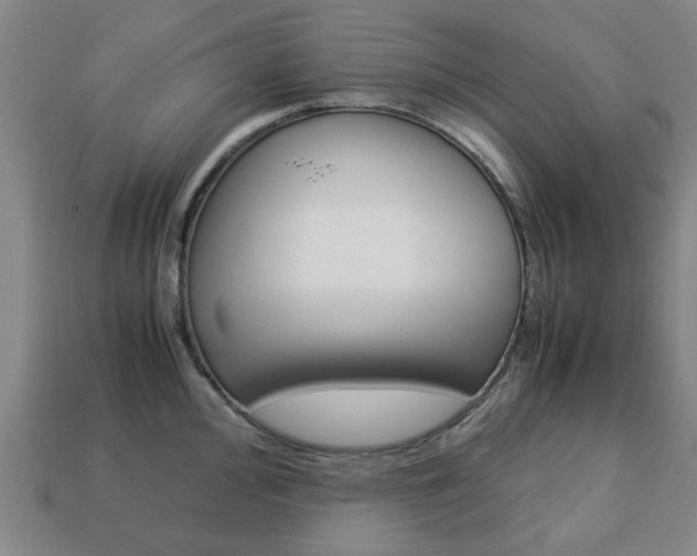 X0000113781000200909231037