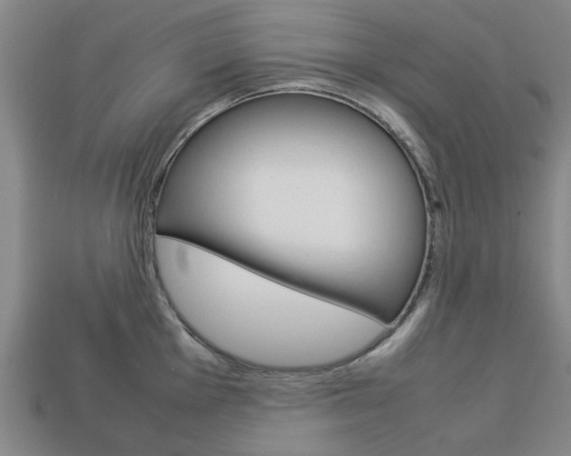 X0000113781001200909231037