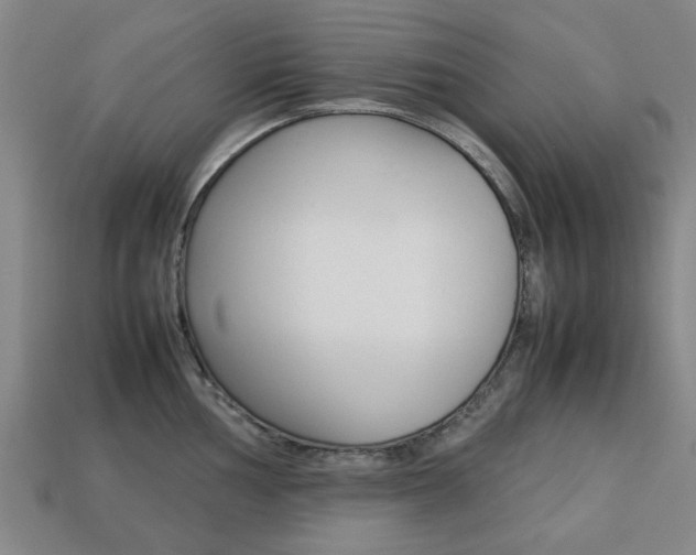 X0000113781002200909231037