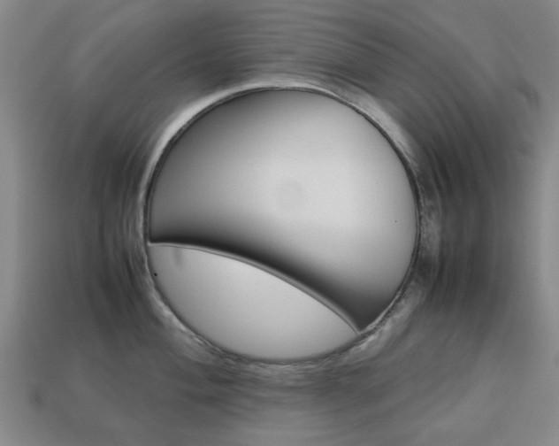 X0000113781004200909231037